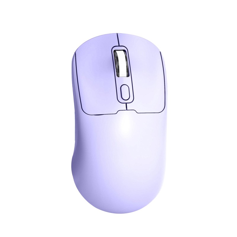 Wireless Mouse Manufacturer - Ergonomic 2.4G BT Dual