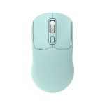 Wireless Mouse Manufacturer - Ergonomic 2.4G BT Dual