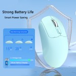 Custom Mouse Factory - Factory Customizable 2.4G BT