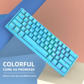 Mechanical Keyboard Manufacturer - Custom 61 Keys Pudding Keycap