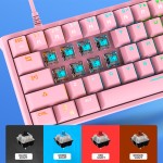 Mechanical Keyboard Manufacturer - Custom 61 Keys Pudding Keycap
