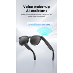 Translation Glasses Manufacturer - Go Real-Time Translation