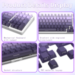 Mechanical Keyboard Manufacturer - ZT99 RGB Light 99Keys Hot