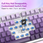 Mechanical Keyboard Manufacturer - ZT99 RGB Light 99Keys Hot