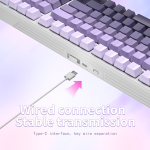 Mechanical Keyboard Manufacturer - ZT99 RGB Light 99Keys Hot