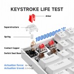 Gaming Keyboard Manufacturer - 68Keys ABS Keycap Glowing Russian