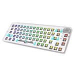 DIY Keyboard Supplier - Hot Swap RGB Wireless USB Interface