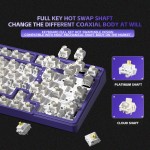 Gaming Keyboard Manufacturer - K99Pro 4000mAh Gasket Structure