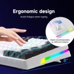 Mechanical Keyboard Manufacturer - 60% Portable Gasket Ergonomic