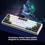 Mechanical Keyboard Manufacturer - 60% Portable Gasket Ergonomic
