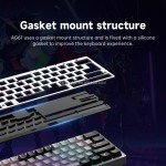 Mechanical Keyboard Manufacturer - 60% Portable Gasket Ergonomic