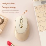 Wireless Mouse Manufacturer - Q8 Mute Charging 500mAh Battery