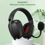 Gaming Headset Factory - Custom Black Wired Wireless Multi-mode