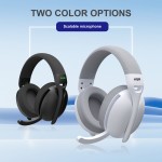 Wireless Headset Supplier - Customized Black Over Ear Mic