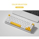 Mechanical Keyboard Supplier - Hotswap RGB Mechanical