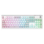 Wireless Keyboard Manufacturer - New Custom Two-color RGB