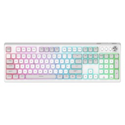Wireless Keyboard Manufacturer - New Custom Two-color RGB