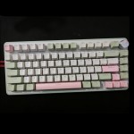 Gaming Keyboard Manufacturer - New 82-key Full-key Anti-ghosting