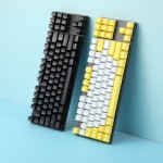 Mechanical Keyboard Factory - Full Key Anti-Ghosting TKL