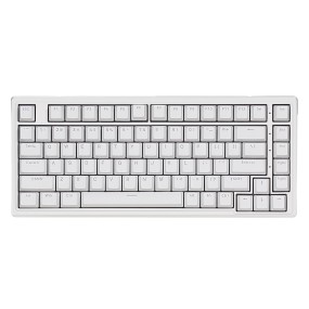 Gaming Keyboard Supplier - Keyboard 83 Keys RGB Backlight