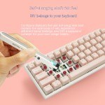 Gaming Keyboard Manufacturer - New Arrival 68 Key Keyboard