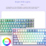 BT Keyboard Factory - Keyboard 87 Percent 80% Rgb