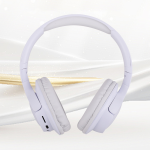 Wireless Headset Factory - Ultra Long Battery 760Bt LDAC ANC