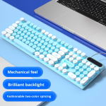 Programmable Keyboard Manufacturer - PK100 Mini RGB Capacitive 104 Keys