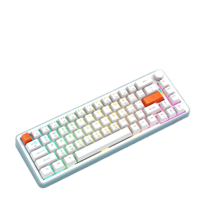 Mechanical Keyboard Manufacturer - 68 Key Red Axis Gasket Translucent