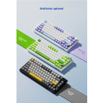 Mechanical Keyboard Factory - Heijue Ak820Pro 75 Hot Swappable