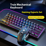 Keyboard Mouse Set Factory - RGB Backlit Blue Switch USB Macro