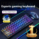 Keyboard Mouse Set Factory - RGB Backlit Blue Switch USB Macro