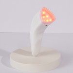 Skin Care Home Use Beauty Skincare Portable Anti-aging Wand Led Red & Blue Face Face Light Therapy Device