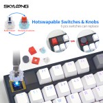 RGB Keyboard Factory - SKYLOONG GK75 3 Modes RGB Backlist