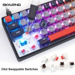QMK Keyboard Factory - Skyloong 60% QMK VIA Mechanical