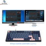 Mechanical Keyboard Supplier - SKYLOONG GK980+ 99 Keys Gateron