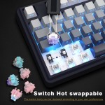 DIY Kit Supplier - SKYLOONG Hot Sell GK61X/GK61XS DIY