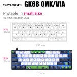 Mechanical Keyboard Supplier - SKYLOONG GK68 QMK/VIA Panda