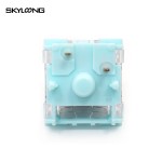 Silent Switch Factory - Hot Selling Skyloong Glacier Silent