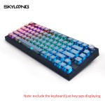 Modular Keyboard Supplier - 75% SKYLOONG GK75 Wireless Modular