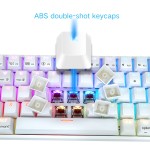 Theme Keyboard Supplier - SKYLOONG BOO Theme 60% Gateron