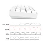 Theme Keyboard Supplier - SKYLOONG BOO Theme 60% Gateron