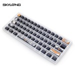 Neon Keycaps Supplier - 2023 Skyloong Neon PBT Dye-sublimation
