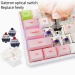 Pink Keyboard Manufacturer - SKYLOONG GK68 SK68 68 Keys Pink