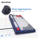 RGB Keyboard Factory - SKYLOONG GK75 3 Modes RGB Backlist