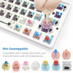 Wooden Case Factory - Customized 61 Keys RGB Hot Swap