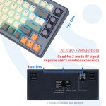 Optical Switch Manufacturer - SKYLOONG 75% Gateron Optical Switch