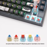 Programmable Keyboard Factory - Skyloong GK75 Dark Fairy-tale