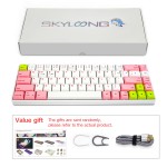 Customized Keyboard Factory - Customized 68keys PBT Keycap