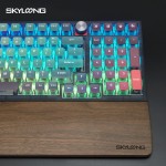 Wireless Keyboard Factory - Skyloong 75% 98% 99 Keycaps